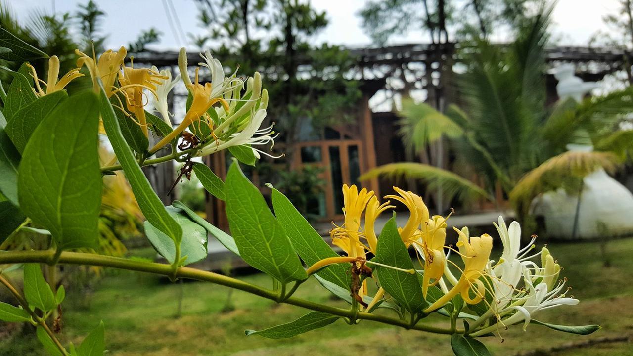 Bed and Breakfast Baangaimuan Lamphun Esterno foto